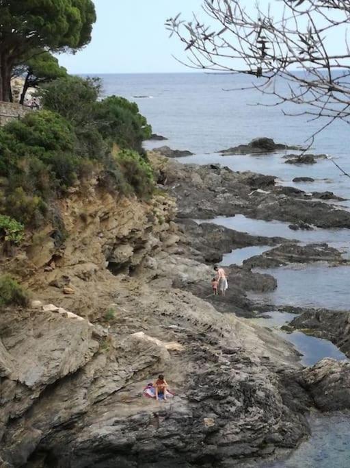 Residence Avec Piscine Face A La Mer, 1Ere Ligne リャンサ エクステリア 写真