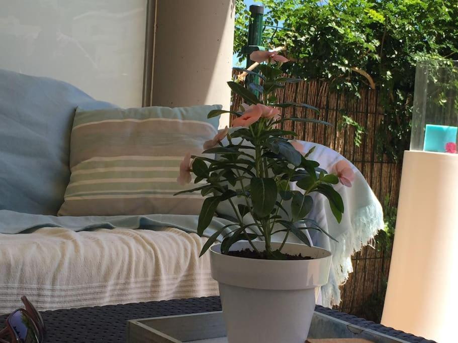 Residence Avec Piscine Face A La Mer, 1Ere Ligne リャンサ エクステリア 写真